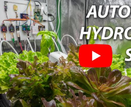 Tecnologia trasparente per un mondo connesso: soluzioni IoT innovative con Arduino ed ESP32